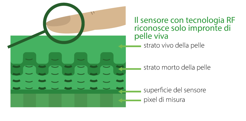 impronte-digitali